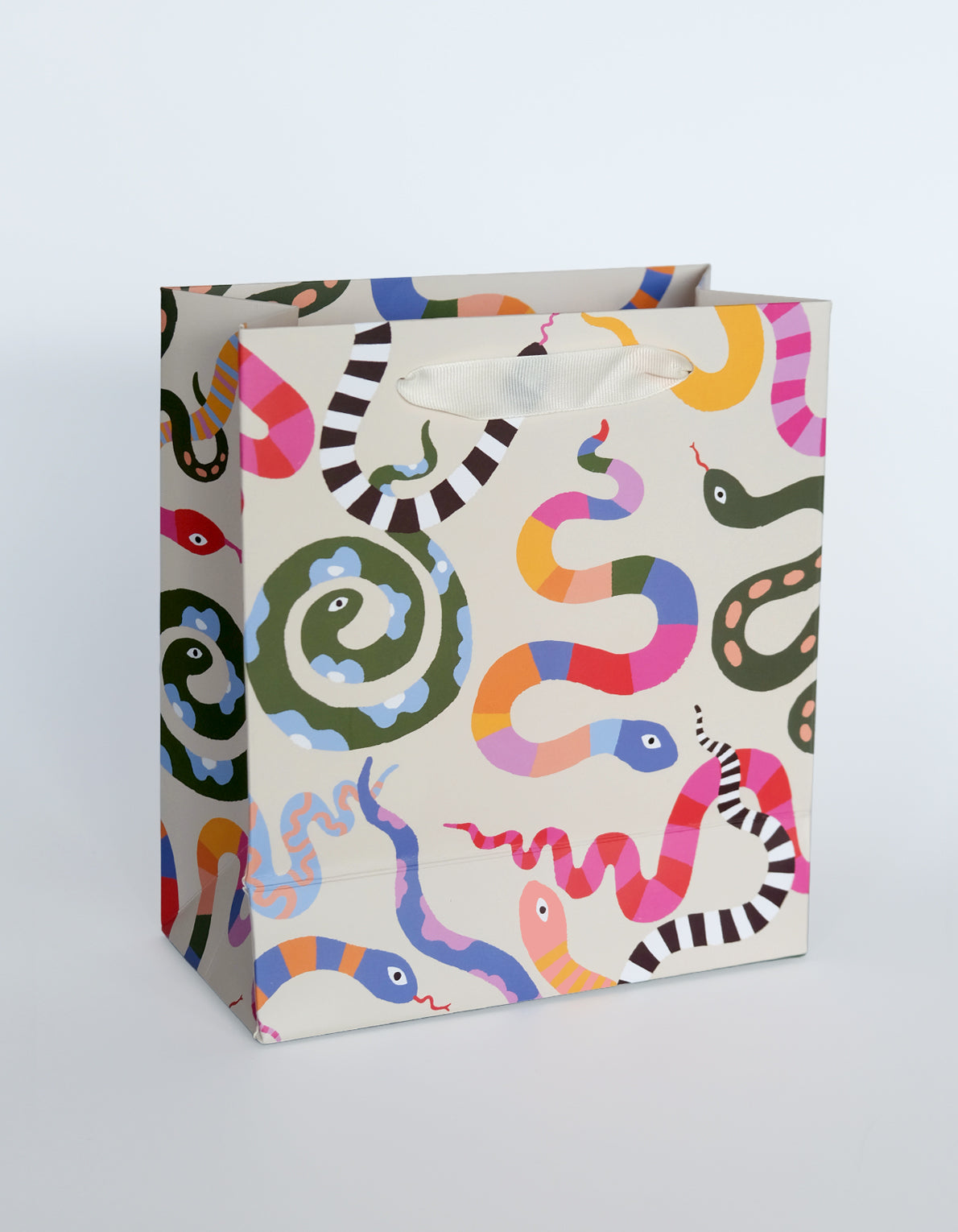 Gift Bag | Rainbow Snakes